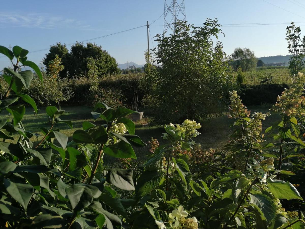 Ca' Blanca Bed & Breakfast Castelnuovo del Garda Bagian luar foto