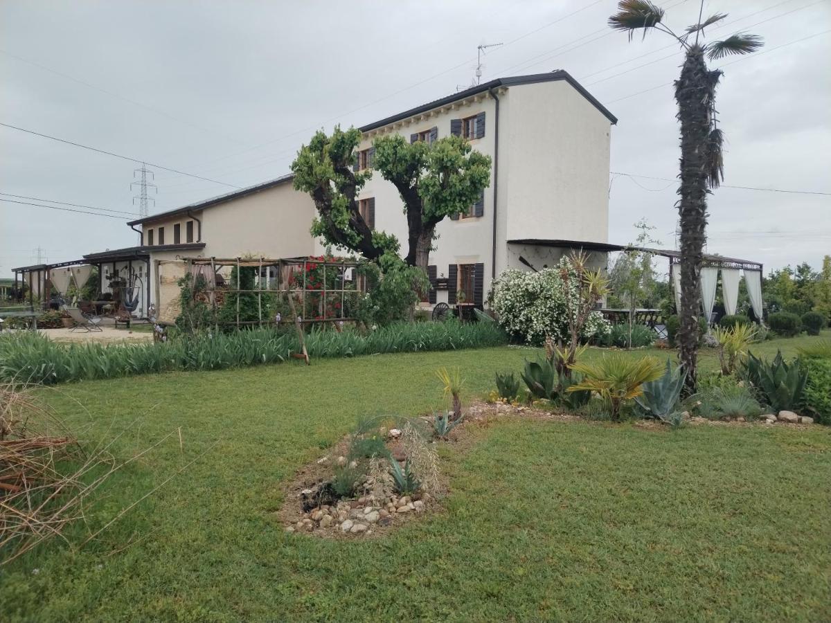 Ca' Blanca Bed & Breakfast Castelnuovo del Garda Bagian luar foto