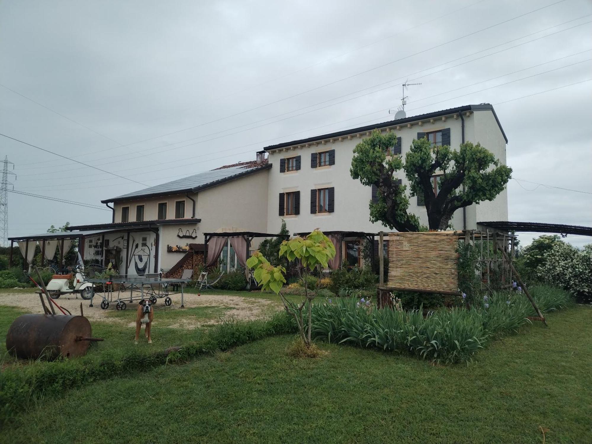 Ca' Blanca Bed & Breakfast Castelnuovo del Garda Bagian luar foto