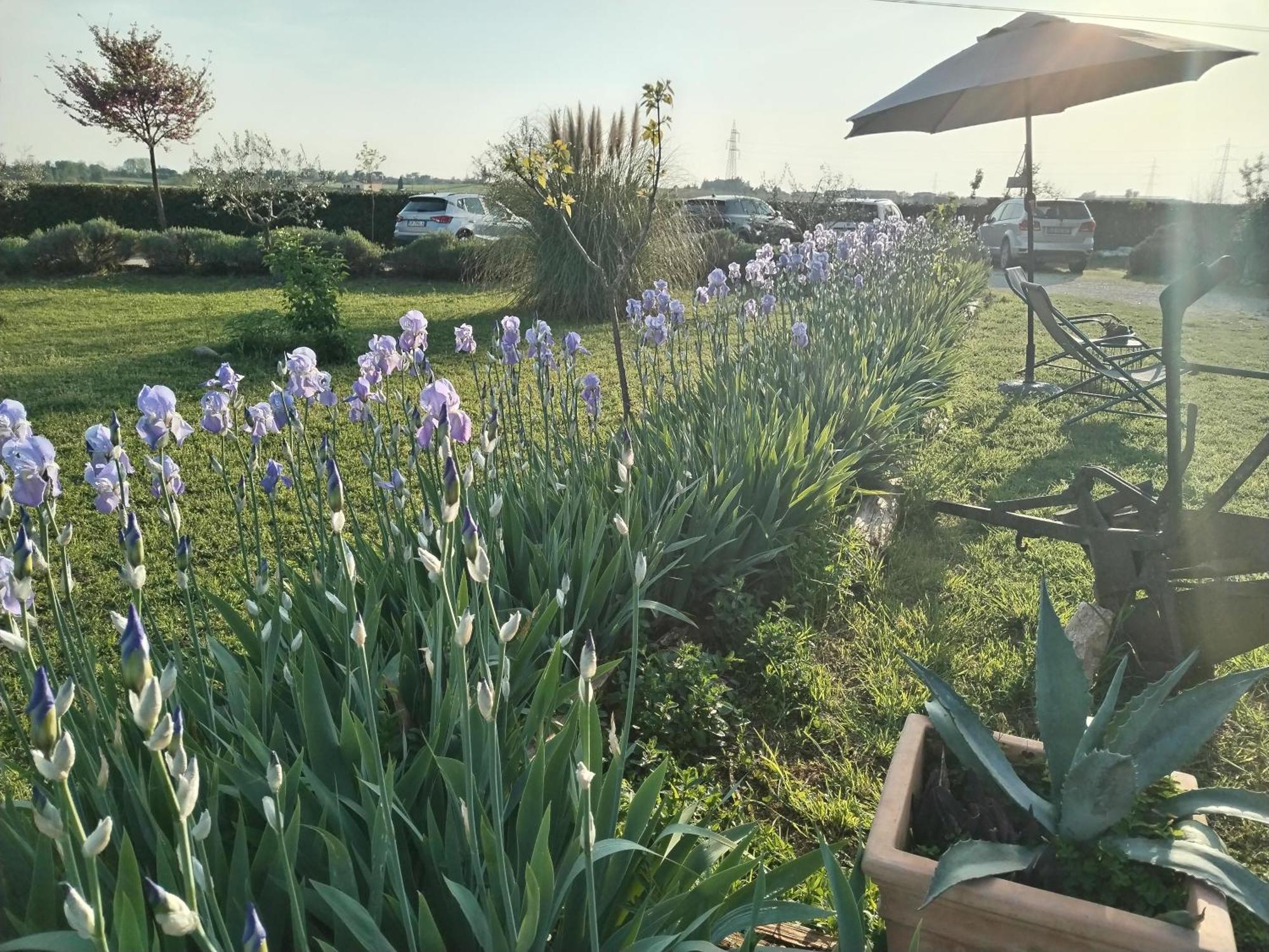 Ca' Blanca Bed & Breakfast Castelnuovo del Garda Bagian luar foto