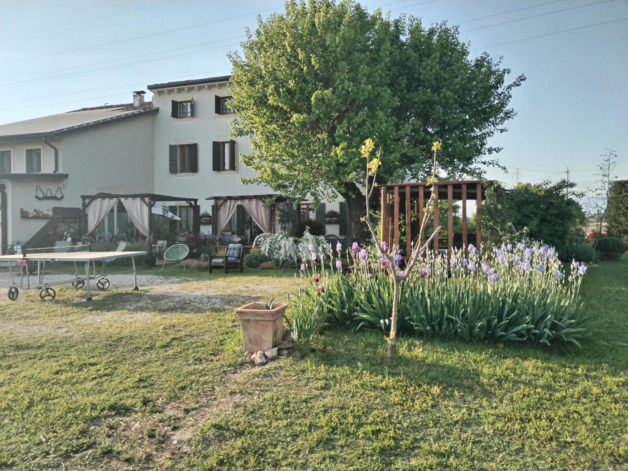 Ca' Blanca Bed & Breakfast Castelnuovo del Garda Bagian luar foto